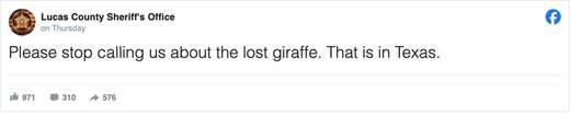 'Please stop calling us about the lost giraffe'